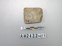 藏品(中型磨製石錛)的圖片